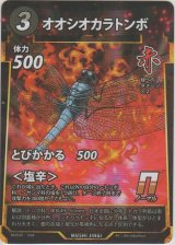 画像: オオシオカラトンボ