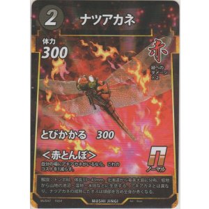 画像: ナツアカネ