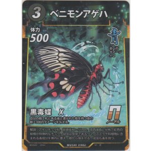 画像: ベニモンアゲハ