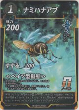 画像: ナミハナアブ