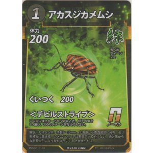 画像: アカスジカメムシ