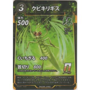 画像: クビキリギス