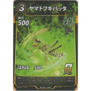 画像: ヤマトフキバッタ