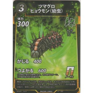 画像: ツマグロヒョウモン（幼虫）