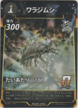 画像: ワラジムシ