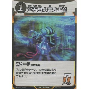 画像: 宝石虫の置き土産