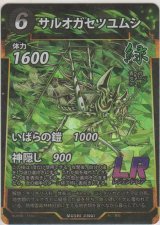 画像: サルオガセツユムシ