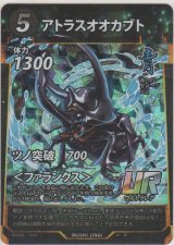 画像: アトラスオオカブト