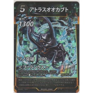 画像: アトラスオオカブト