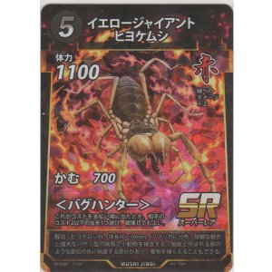 画像: イエロージャイアントヒヨケムシ