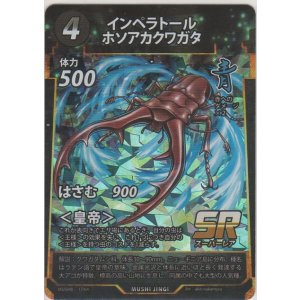 画像: インペラトールホソアカクワガタ