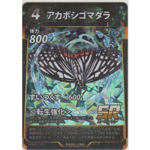 画像: アカボシゴマダラ