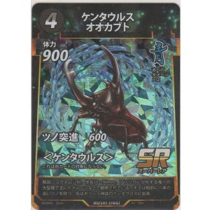 画像: ケンタウルスオオカブト