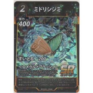 画像: ミドリシジミ