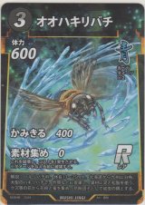 画像: オオハキリバチ