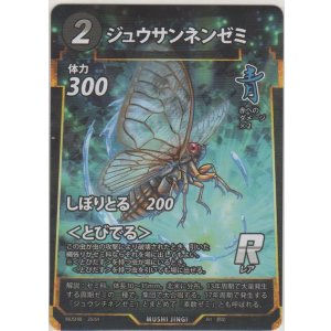 画像: ジュウサンネンゼミ