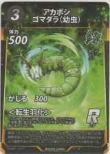 画像: アカボシゴマダラ（幼虫）