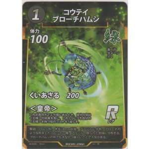画像: コウテイブローチハムシ