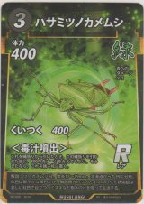 画像: ハサミツノカメムシ