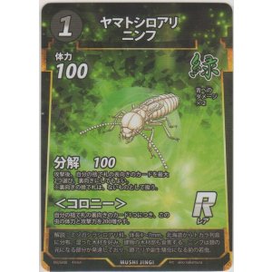 画像: ヤマトシロアリニンフ