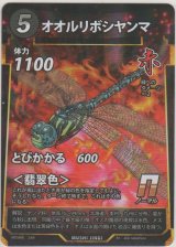 画像: オオルリボシヤンマ