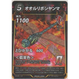 画像: オオルリボシヤンマ