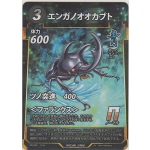 画像: エンガノオオカブト