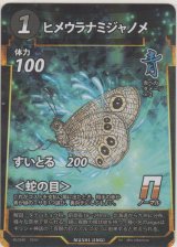 画像: ヒメウラナミジャノメ