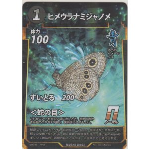 画像: ヒメウラナミジャノメ