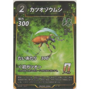 画像: カツオゾウムシ
