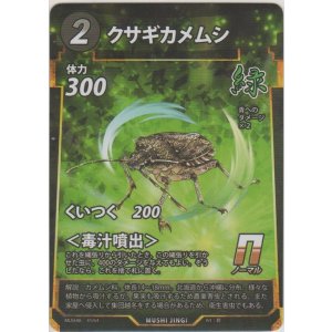 画像: クサギカメムシ