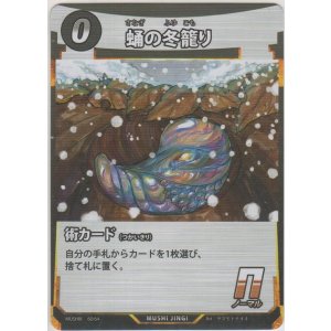 画像: 蛹の冬籠り