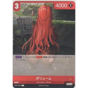 画像: ボリューム