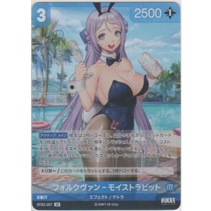 画像: フォルクヴァン-モイストラピット