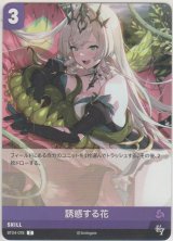画像: 誘惑する花