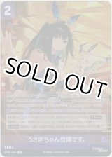 画像: うさぎちゃん登場です。