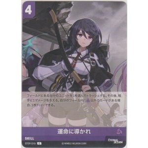 画像: 運命に導かれ