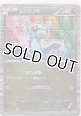 画像: ミニリュウ