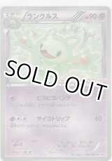 画像: ランクルス