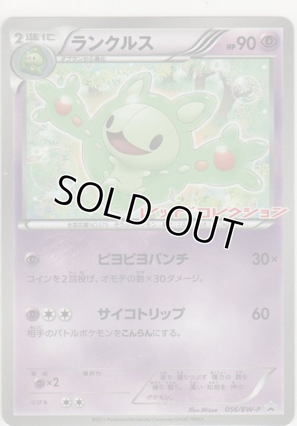 画像1: ランクルス