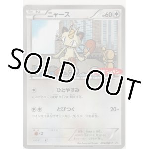 画像: ニャース