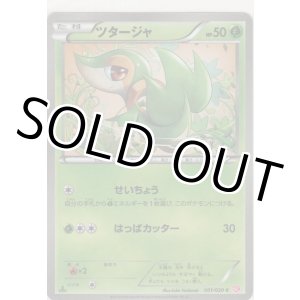 画像: ツタージャ