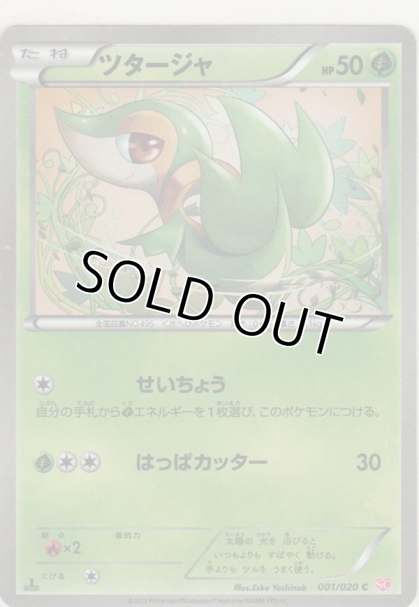 画像1: ツタージャ