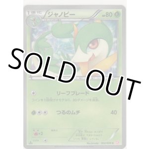 画像: ジャノビー