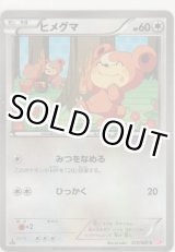 画像: ヒメグマ