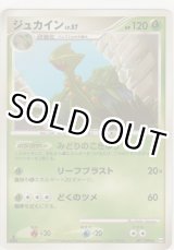 画像: ジュカイン LV.57