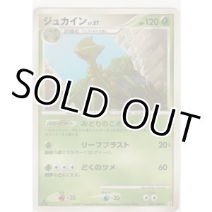 画像: ジュカイン LV.57