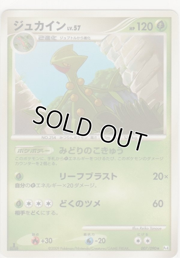 画像1: ジュカイン LV.57