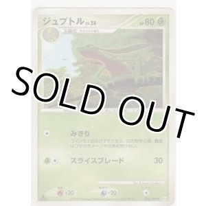 画像: ジュプトル LV.28