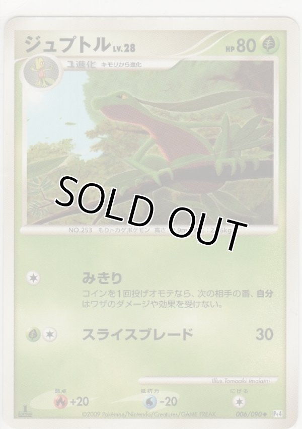 画像1: ジュプトル LV.28